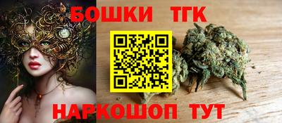 индика Тверь