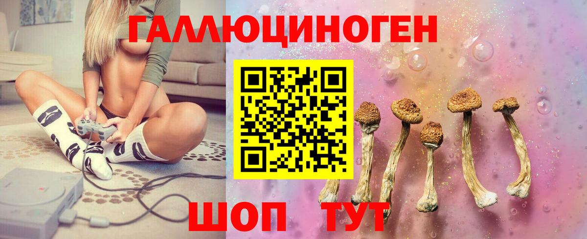 Псилоцибиновые грибы мухоморы  Вход с VPN  Междуреченск 